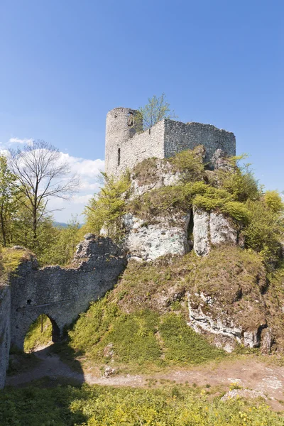 Gotiska rocky slott i Polen. — Stockfoto