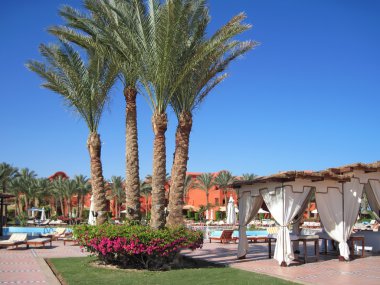 Mısır manzaraları.