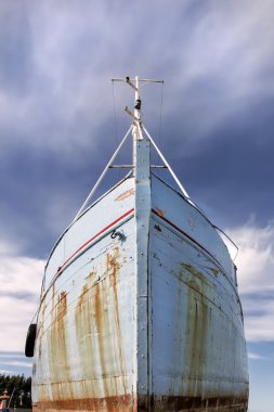 Polonya ın.