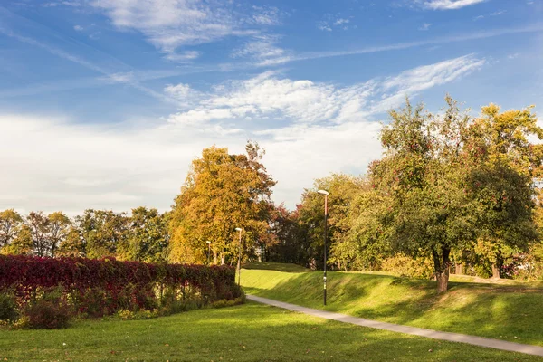 Jardin coloré. Heure d'automne . — Photo