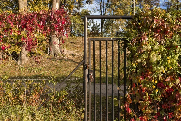 Giardino colorato. Ora di autunno . — Foto Stock