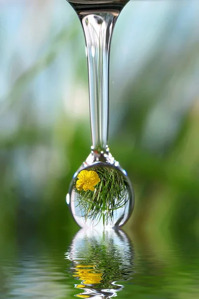 Drops of nature. — Stock Photo, Image