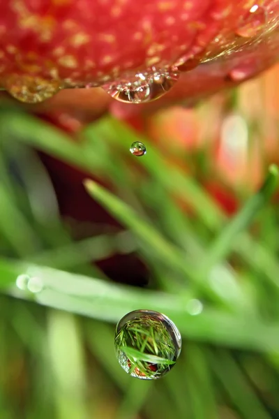 Drops of health — Stock Photo, Image