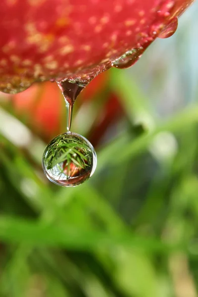 Drops of health — Stock Photo, Image