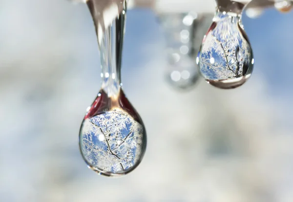 Gotas de quatro estações - inverno . — Fotografia de Stock