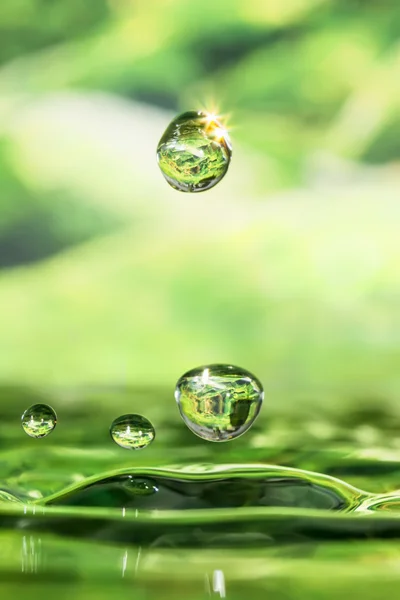 dört mevsim - bahar damla.