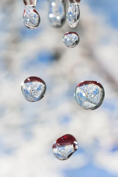 Drops of four seasons - winter. — Stock Photo, Image