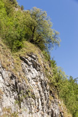 Polonya - güzel dağ pieniny manzaraları.