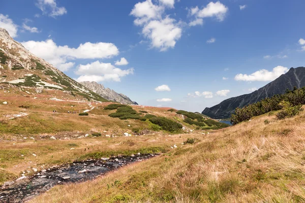 Vysoká hora v Polsku. Národní park - Tatry. ekologická rezerva. — Stock fotografie