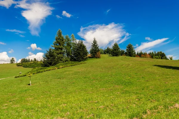 Зеленый холм и небо с облаками - Пейзаж — стоковое фото