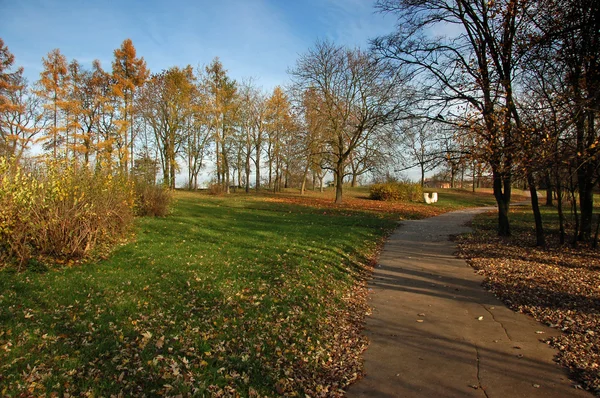 Path in the park - autumn landscape — Stock Photo, Image