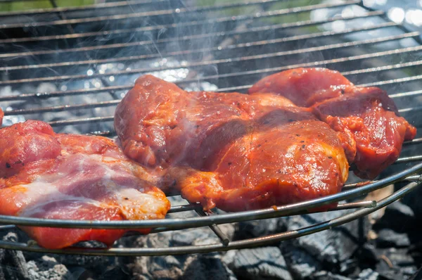 Voorbereiding voor de barbecue - ruwe spiesjes op een dienblad — Stockfoto