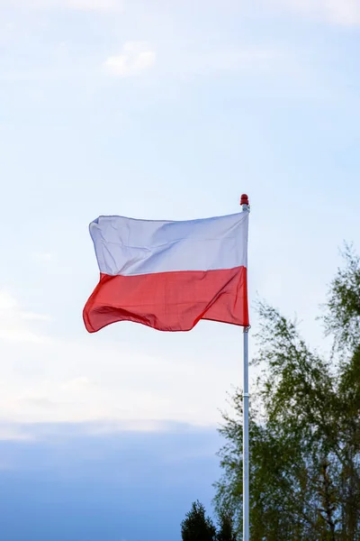 Bandera Polaca Ondeando Viento — Foto de Stock