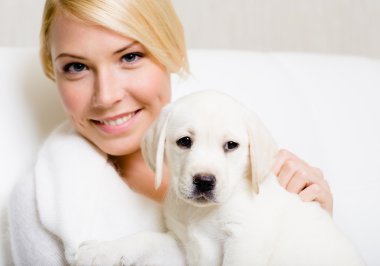 kadının elleri üzerinde oturan beyaz labrador yavrusu