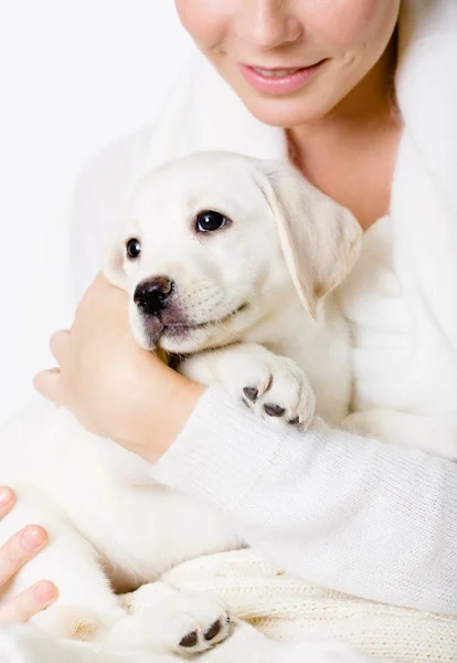 Close-up van witte pup op de handen van vrouw — Stockfoto