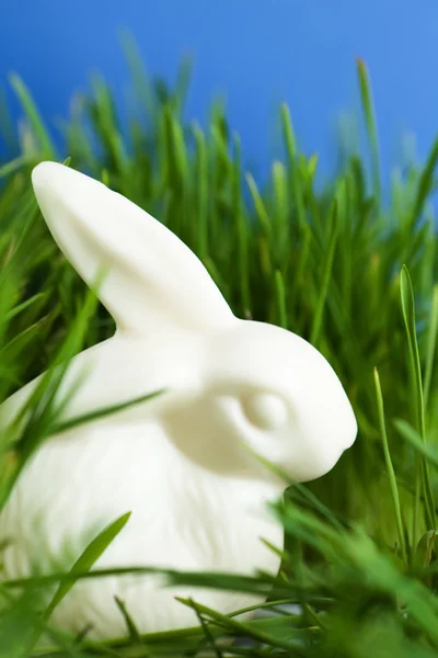 China easter bunny is in the green grass — Stock Photo, Image