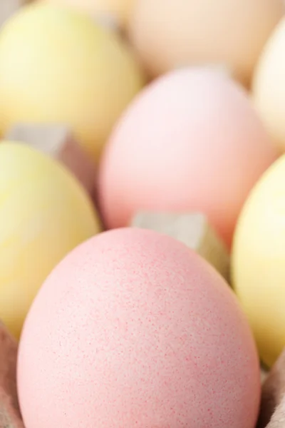 Ovos multicoloridos estão na caixa de papelão — Fotografia de Stock
