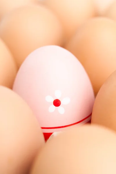 Set of brown easter eggs with one pink in flower egg — Stock Photo, Image