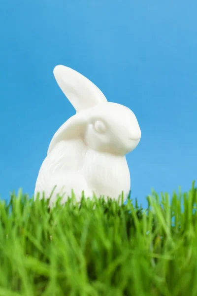 China bunny is in the green grass — Stock Photo, Image
