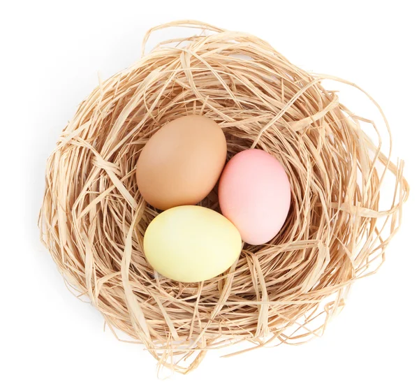 Multicolored easter eggs are in the nest — Stock Photo, Image