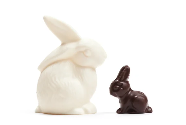 China white rabbit with small chocolate one — Stock Photo, Image