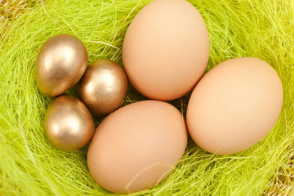 Les œufs de Pâques sont sur des fibres de sisal vert — Photo