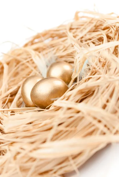 Гнездо с золотыми крошечными перепелиными яйцами — стоковое фото