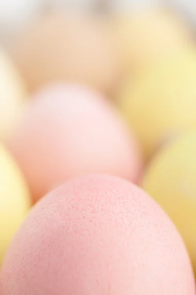 Huevos variados en la caja de cartón —  Fotos de Stock