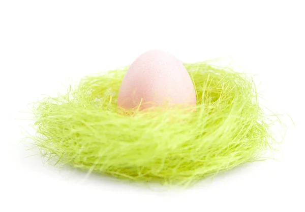 Egg is in the nest of green sisal fibre — Stock Photo, Image