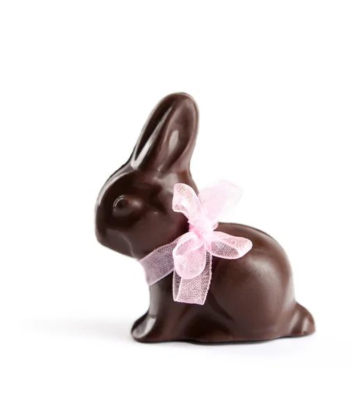 Chocolate rabbit Stock Image