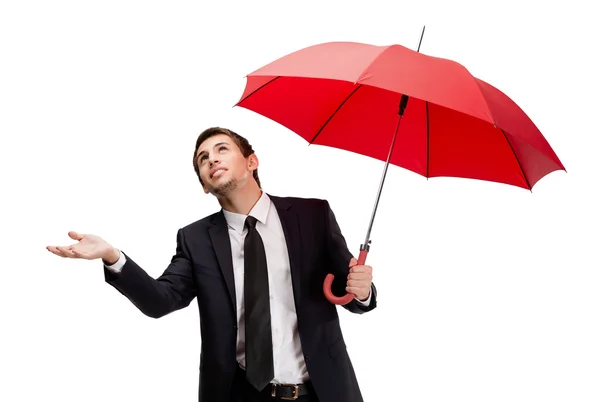 Palming up business man with red umbrella checks the rain — Stock Photo, Image