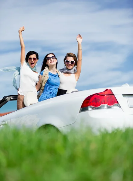 Friends stand in the cabriolet with hands up — Stock Photo, Image