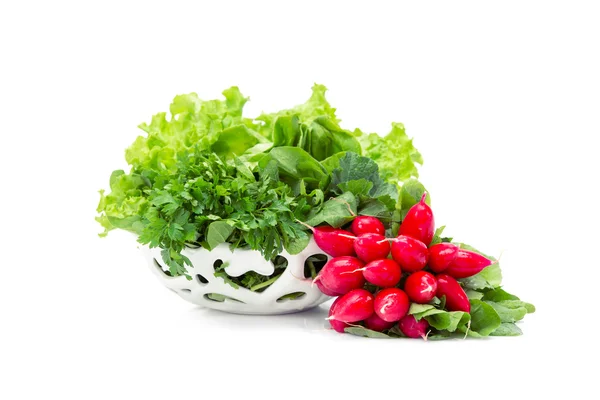 Close up shot of greens and radish in white bowl — Stock Photo, Image