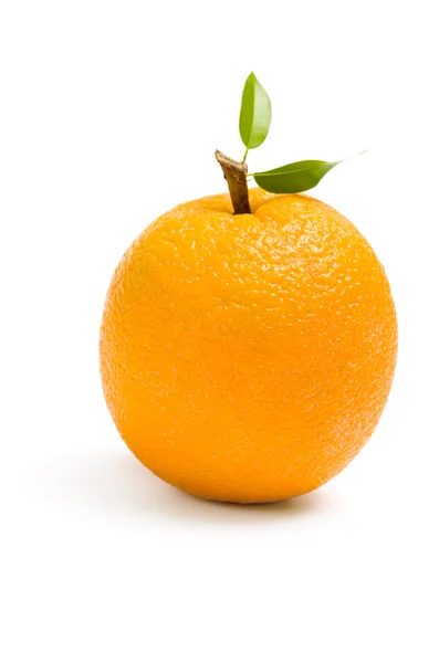 Close up of an orange — Stock Photo, Image