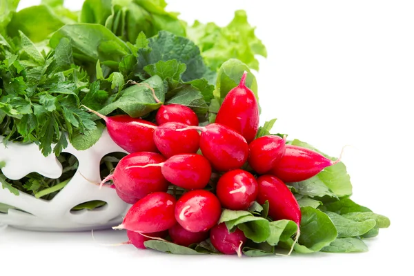 Greens and radish in white bowl — Stock Photo, Image