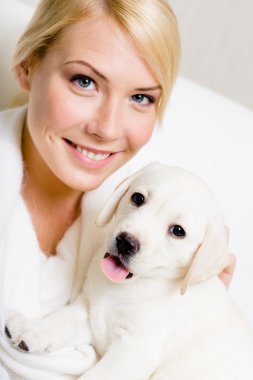 kadının elleri üzerinde oturan küçük köpek yavrusu