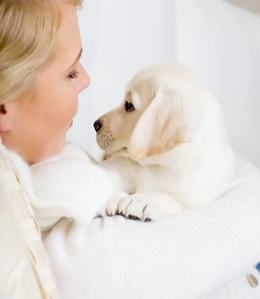 Närbild på kvinna allomfattande labrador hundvalp — Stockfoto