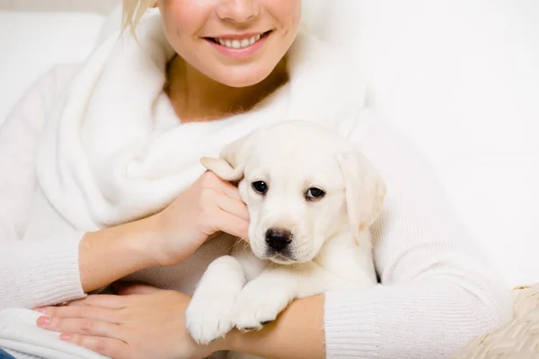 Woman holds labrador puppy on her hands — Stock Photo, Image