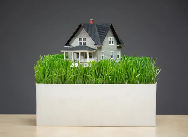 Home model met groen gras — Stockfoto