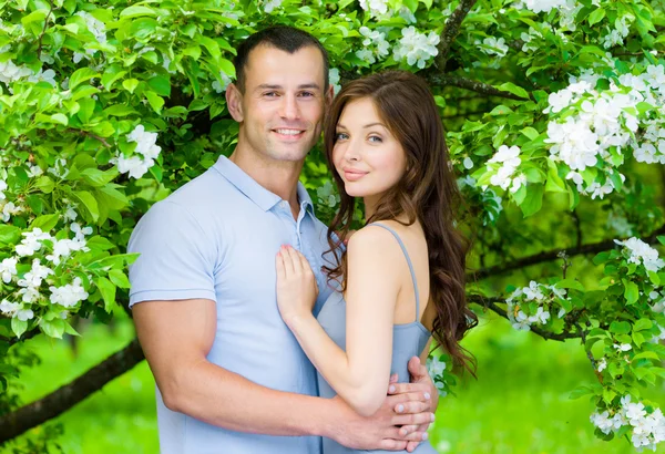 Paar umarmt sich nahe blühendem Baum — Stockfoto