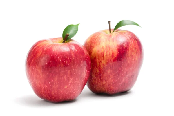 2 つの赤いりんごのクローズ アップ — Stock fotografie