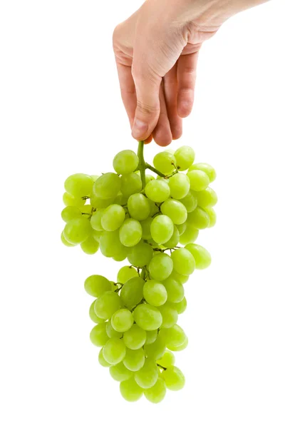 Mano manteniendo racimo de uva — Foto de Stock