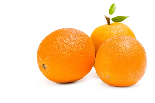 Close up of three oranges — Stock Photo, Image