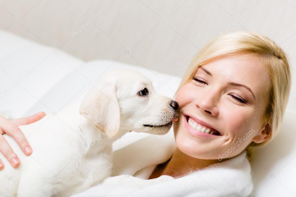 Puppy of labrador licking the face of woman