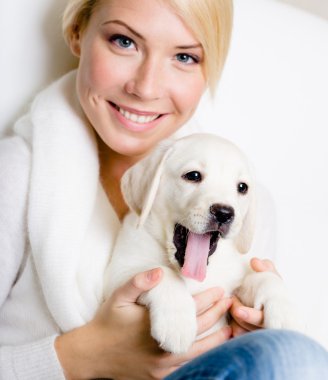 bir kadın diz labrador yavrusu ile yakın çekim