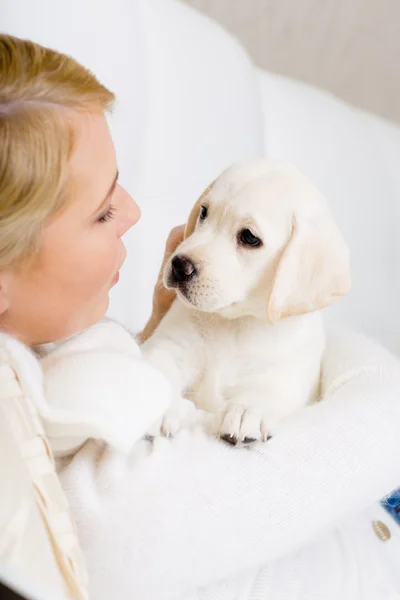 Kadın köpek yavrusu beyaz kucaklayan yakın çekim — Stok fotoğraf