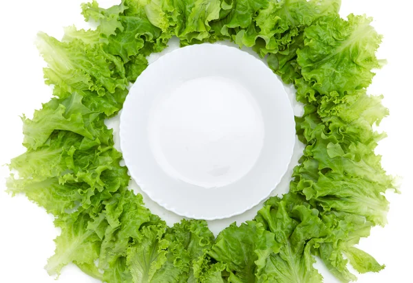Крупним планом перегляд порожньої тарілки і салату навколо — стокове фото