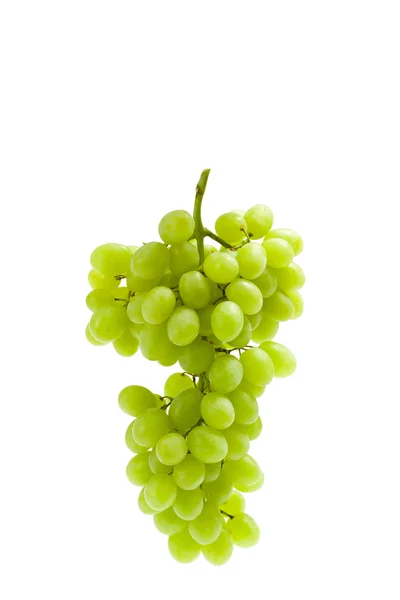 Close up shot of bunch of grape — Stock Photo, Image