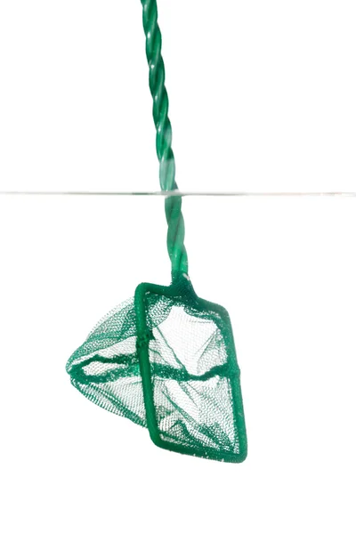 Close up of landing net in fishbowl — Stock Photo, Image
