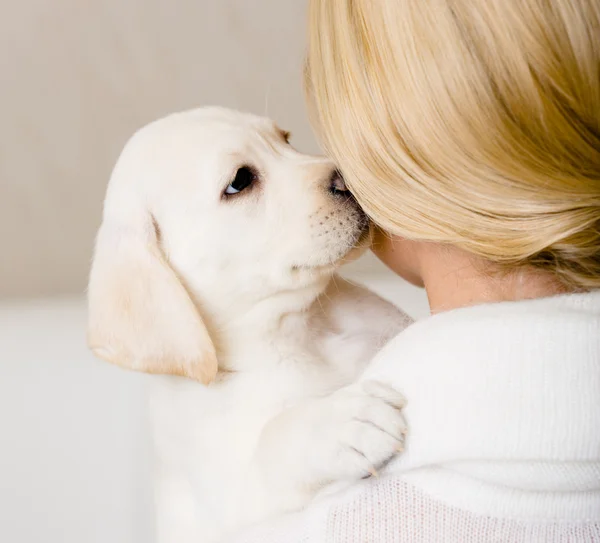 Puppy kisses the face of woman — Stock Photo, Image